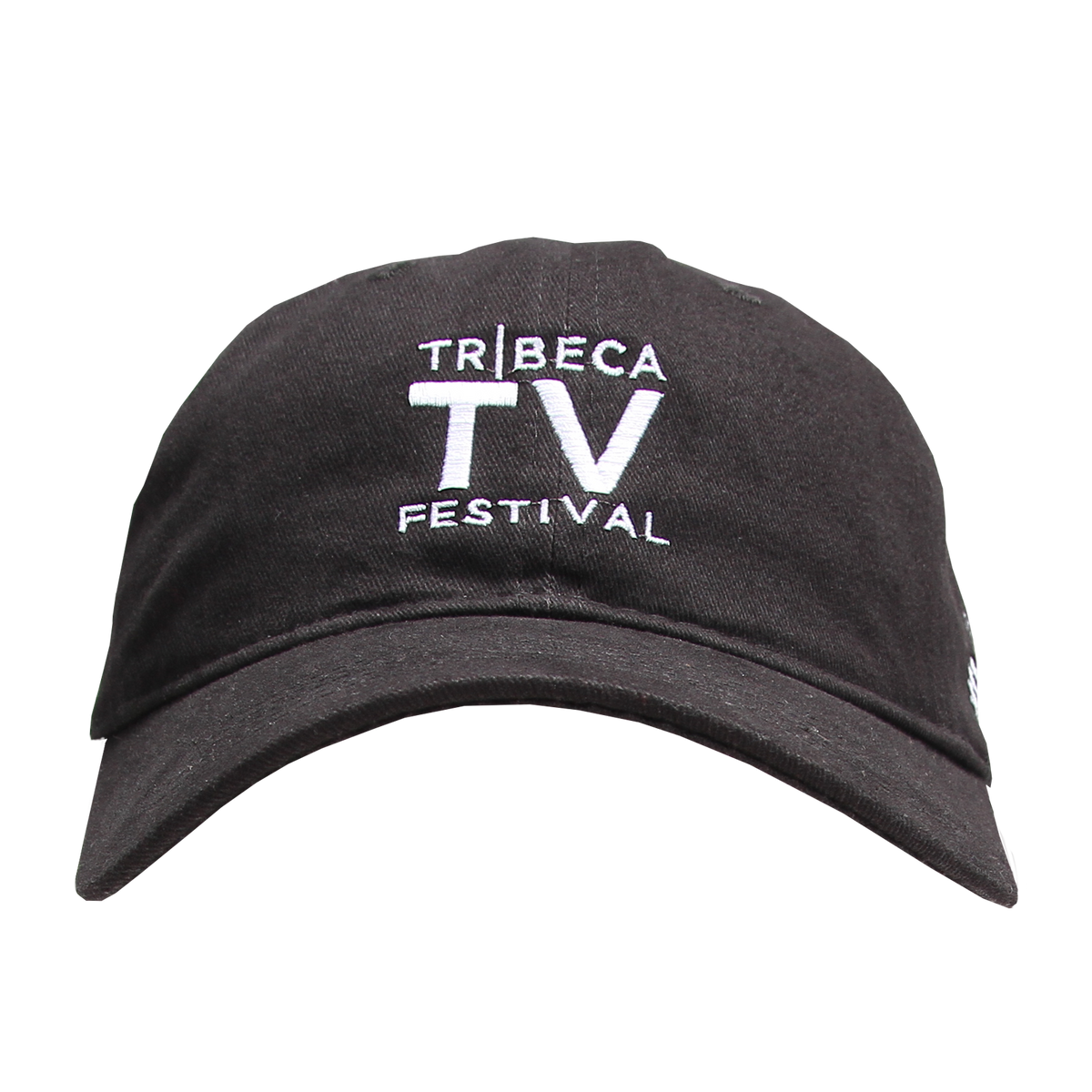 2017 TTVF LOGO DAD HAT